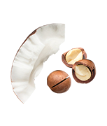 02 Web PP APCBodySand Ingredients Nuts
