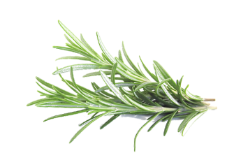 ISjqtL-herbs-clipart-png-photos