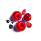 SS PP AEA EP PPIngredient GlowBerries 2x 3b92aede-75b9-491a-9d25-5d7b5423675c